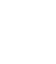 Libelula Logo